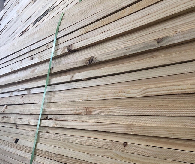 穆棱巴西松